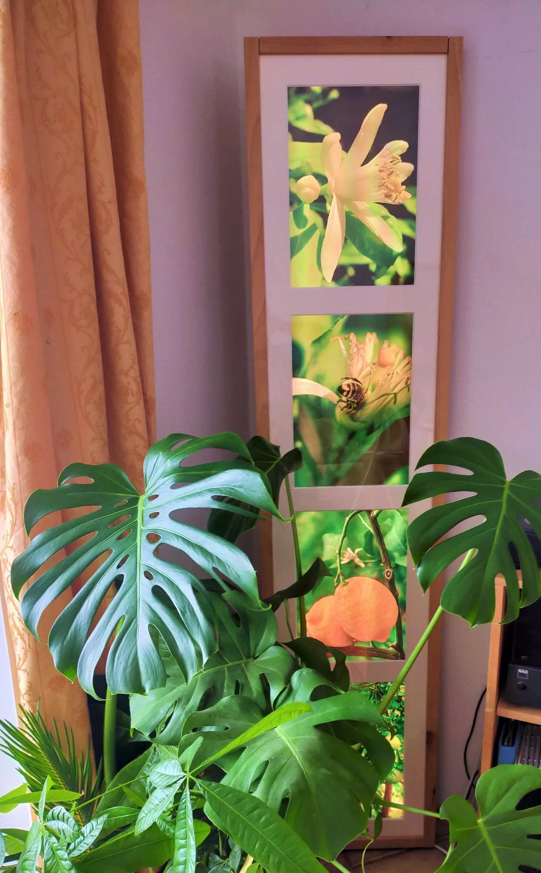 DaLi Leuchtbild Detail